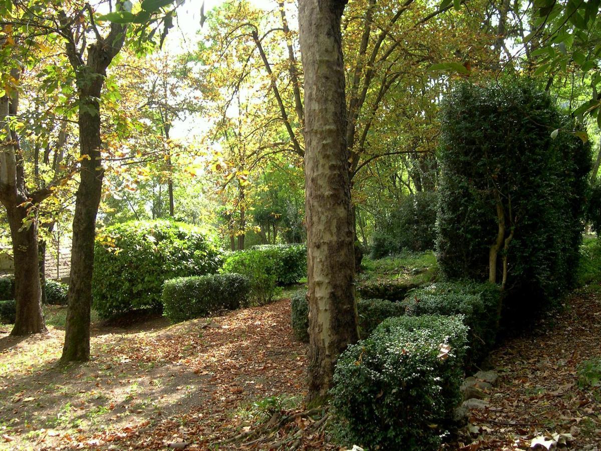 Domaine Du Parais B&B Sospel Ngoại thất bức ảnh
