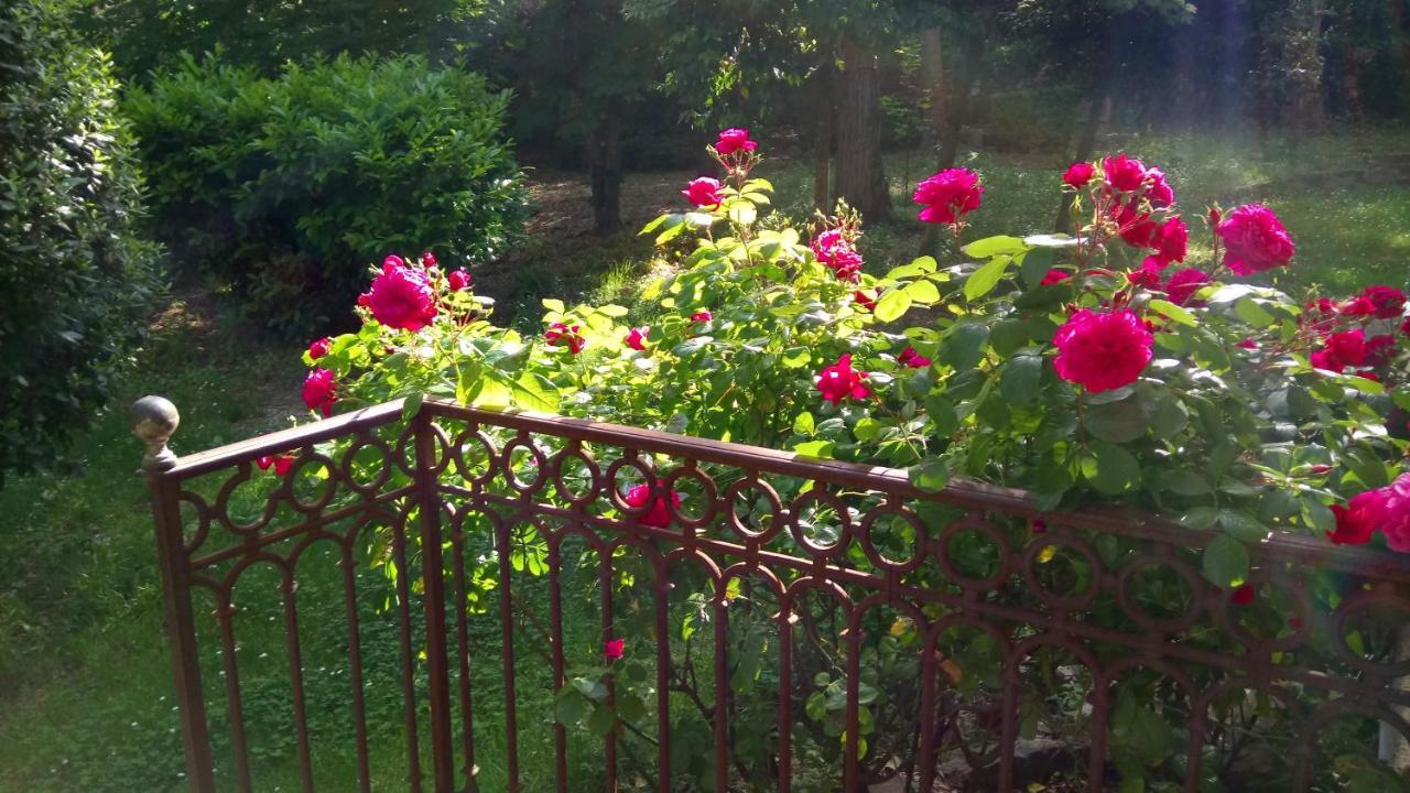Domaine Du Parais B&B Sospel Ngoại thất bức ảnh